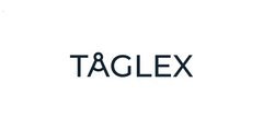 ГК Softline провела комплексное тестирование на проникновение для компании TAGLEX