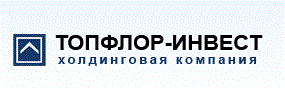 Оценка состояния IT-структуры и ее модернизация. ООО «ХК Топфлор-инвест» 